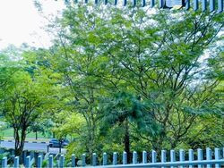Hundred Trees (D5), Condominium #587227451